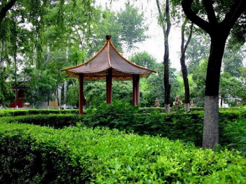 北京这些绝美树葬陵园，让逝者安息于绿意之中