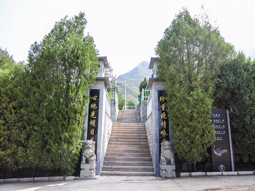 北京免费树葬新选择：探索绿色安息之地的奥秘