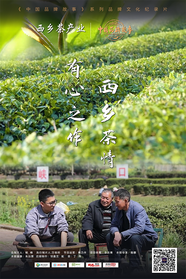 中国品牌故事 — 西乡茶产业：有心之作 西乡茶情