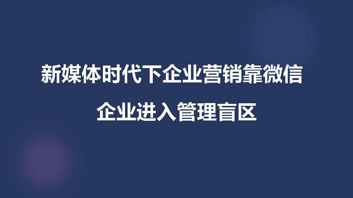 云豹私域电商商家的自我救赎与智慧转型