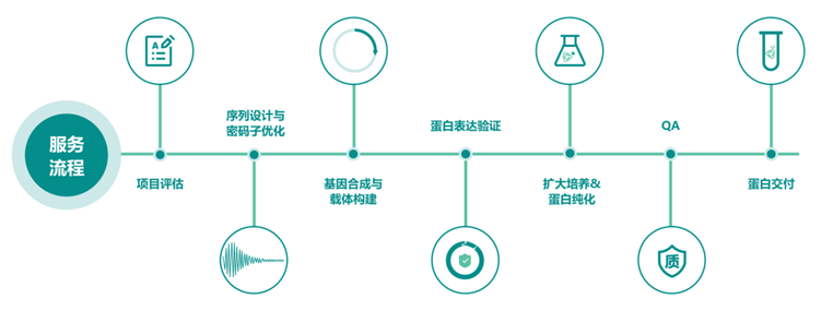 AI +蛋白质市场规模及应用场景