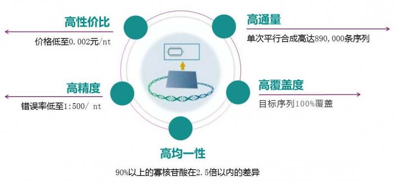 Oligo Pools如何助力海量数据保存？