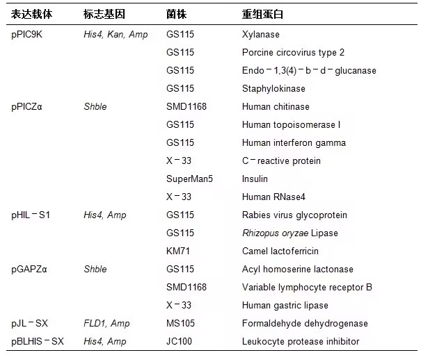 合成生物学底盘细胞之毕赤酵母