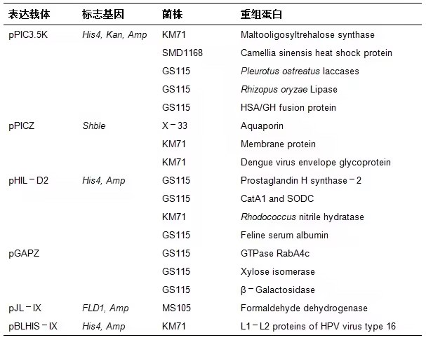 合成生物学底盘细胞之毕赤酵母